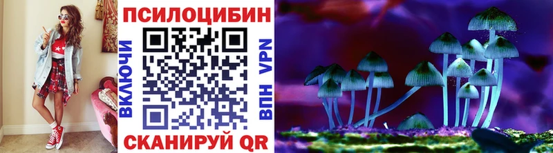 кракен   Чулым  Галлюциногенные грибы Psilocybe  где купить наркоту 