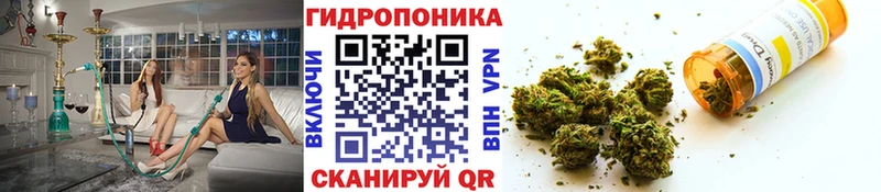 купить наркоту  Чулым  МАРИХУАНА тримм 